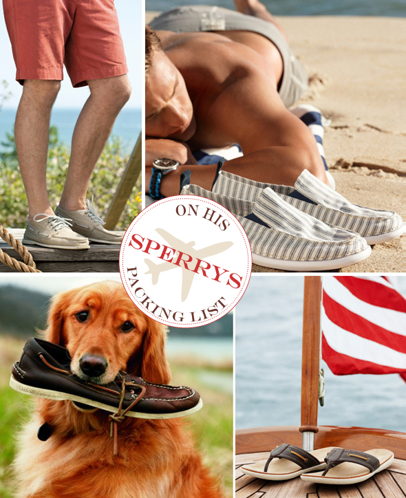 mens sperry shoes