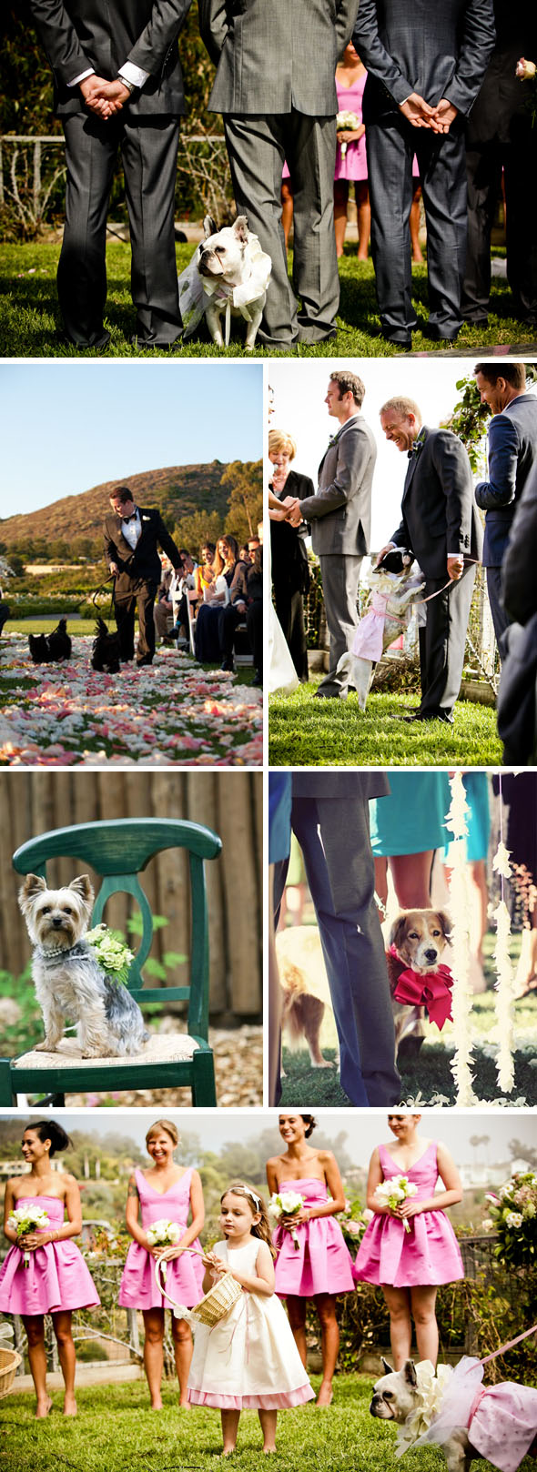 dog wedding signs
