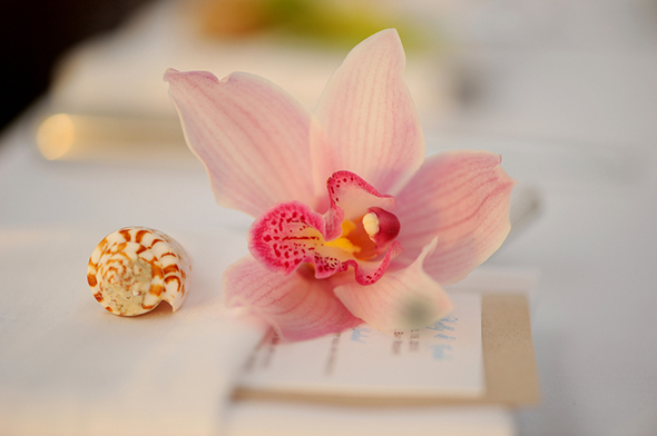 orchid napkin treatments