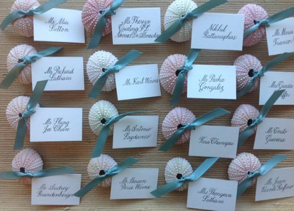 shell place cards