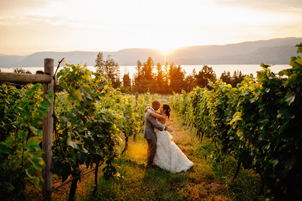 vineyard weddings