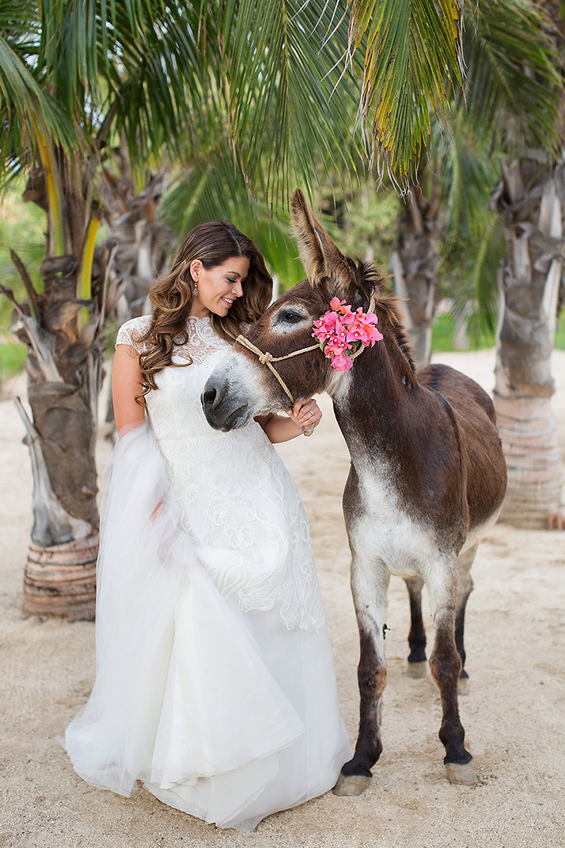 rancho-pescadero-wedding