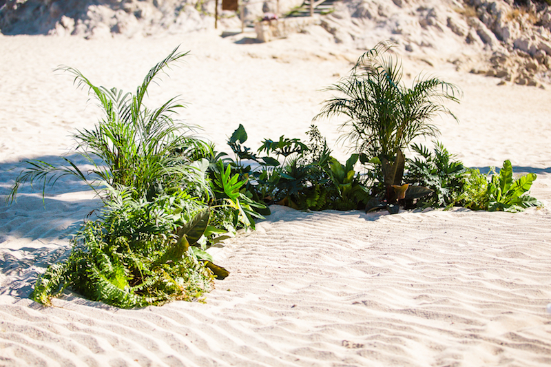 beach-wedding-in-cabo-mexico-greenery-semicircle-altar