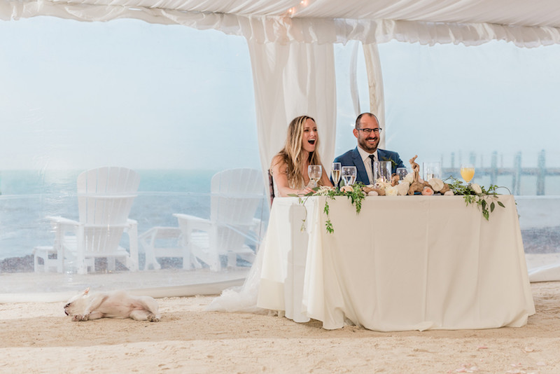 memorial-day-beach-wedding-florida-keys-dogs-at-wedding
