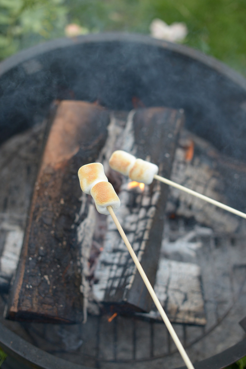 toasting-marshmallows