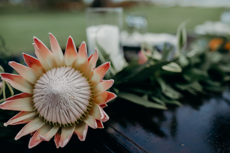 protea-florals-hawaii-wedding